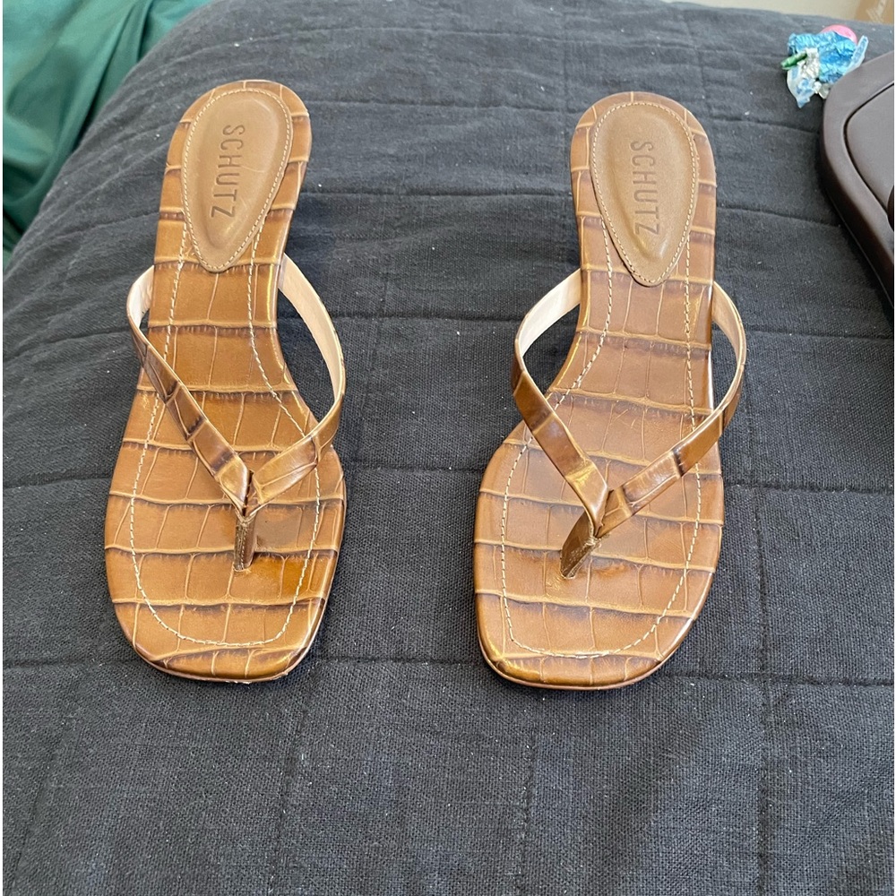 Schutz brown